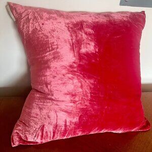 Large Silk Velvet Throw Pillow (ABC Home/Aviva Stanoff)